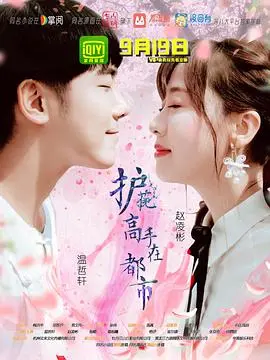 《护花高手在都市》：这“天道”般的爽剧，比“科幻”还硬核！国产小说的逆袭！