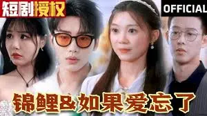 《锦鲤 如果爱忘了》：都市爱情中的无奈与释然，一段关于错过与放手的深刻情感叙事