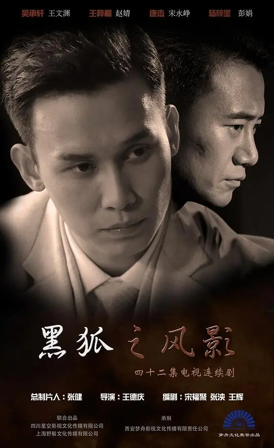 黑狐之风影 海报
